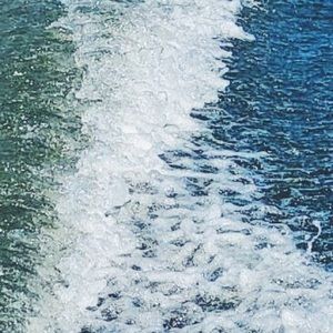 Meet your Posher, Addi